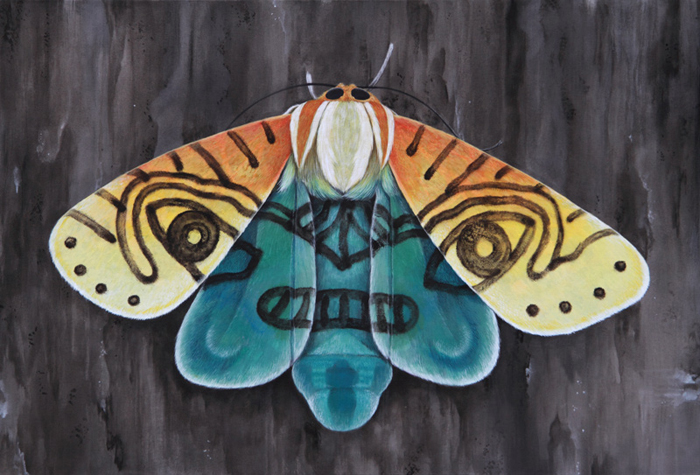 cocobergholm butterfly